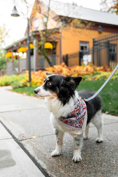 20251008_Porches_Fall123 (1)